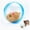 Blue Hamsters A#002, variant on 2026 New Self-Rolling Interactive Cat Ball, Realistic Animal Automatic Moving Toy, 360° Spin Chasing Ball for Cats & Dogs(Rabbit,Pink)