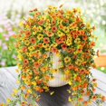 thumbnail image 2 of Decoración de pared de flores colgantes artificiales | 5 horquillas Violeta Simulación Rosas | Amarillo Naranja | Arreglo floral falso para bodas al aire libre, jardín, patio, balcón | Paquete de 2, 2 of 4