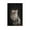 Unframe-style, variant on Cat Furry Cute Animal-b Posters Art Print Wall Photo Paint Poster Hanging Picture Family Bedroom Decor Gift 08x12inch(20x30cm)