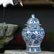 thumbnail image 4 of Jarrón de blanca para , decoración china antigua con tapa, tarro de jengibre de cerámica vintage alto, para chimenea, mesa de L Macarena Jarrón de jengibre, 4 of 7