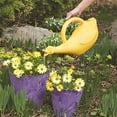 thumbnail image 3 of Root & Vessel Lucky The Duck Watering Can, 3 of 5
