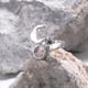 thumbnail image 3 of Anillo de llave mecánica de punky de acero inoxidable simple para hombre Plata EE. UU. 10 Yuyangstore Acero inoxidable, 3 of 7