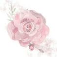 thumbnail image 3 of Bluebird Barn 20x20 Black Modern Framed Museum Art Print Titled - Cottage Rose, 3 of 5