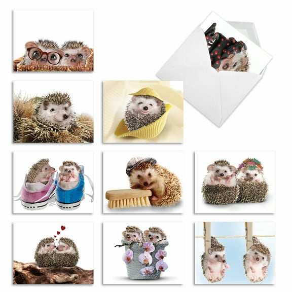 10 All Occasion Blank Note Cards Boxed (4 x 5.12 Inch) - Painted Petals