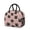 Black Cat and, variant on Black Cat and Dot Pink Pattern Insulated Leakproof Lunch Box for Work, Lunch Bag for Women Men, Loncheras Para Mujer for Beach Travel Picnic Camping