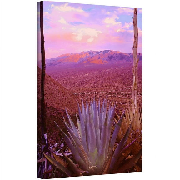 Dean Uhlinger "Desert Cycle" Gallery-Wrapped Canvas