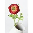 thumbnail image 4 of 13" Faux Red Ranunculus Stem, 4 of 5