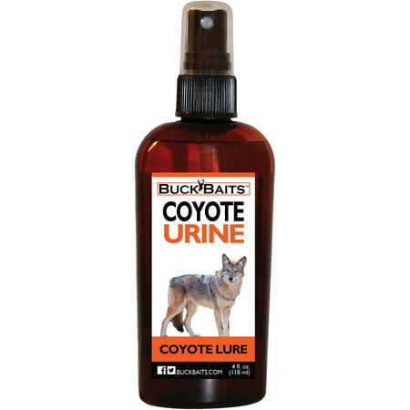 Buck Baits Coyote Urine 4 oz. (Best Coyote Bait And Lure)
