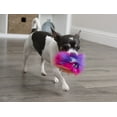 thumbnail image 2 of goDog Just For Me Furballz with Chew Guard Technology Plush Dog Toy, Cool Rainbow, Mini, 2 of 8