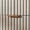 Light Grey, variant on LEYAOYAO Brown Fluted Dresser of 5 Drawers, Dresser Chest with Easy Pull Metal Handles for Bedroom, Living Room