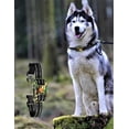 thumbnail image 3 of Groovypets Electronic Dog Collar, Camouflage, Vibration and Shock, Waterproof, 3 of 5
