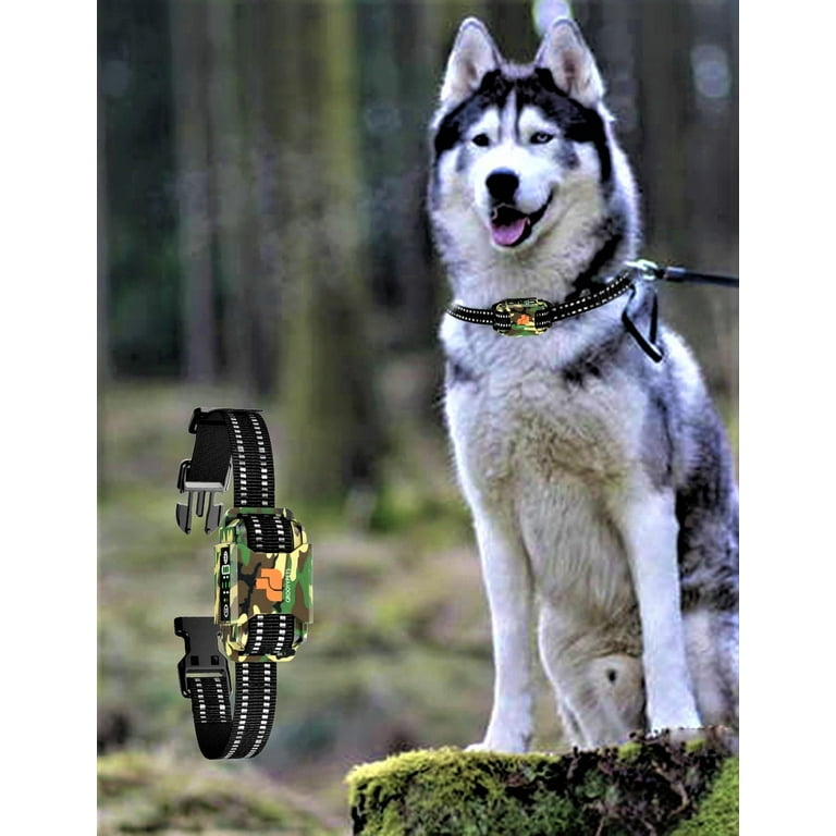 Bark collar for husky hotsell