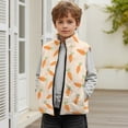 thumbnail image 3 of Binienty 2T Toddler Girls Fleece Vest With Pockets Easter Carrot Zip Up Stand Collar Soft Fuzzy Fluffy Jacket Little Kids Casual Trendy Winter Outfits, 3 of 7
