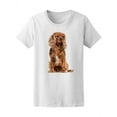 thumbnail image 2 of Brown Cavalier Spaniel Dog T-Shirt Women -Image by Shutterstock, Female Large, 2 of 4
