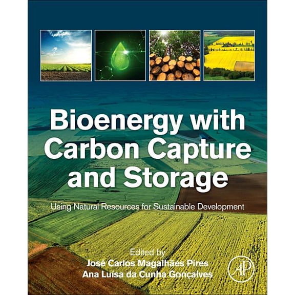 Bioenergy with Carbon Capture and Storage: Using Natural Resources for Sustainable Development, (Paperback)
