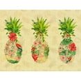 thumbnail image 2 of DeRice, Julie 24x19 White Modern Wood Framed Museum Art Print Titled - Triple Tropical Pineapple Collage, 2 of 4