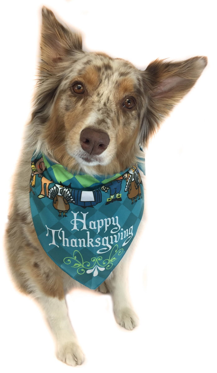 thanksgiving dog bandana