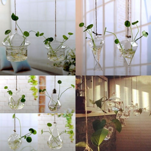 8cm/10cm Hanging Glass Flowers Plant Vase Stand Holder Terrarium Container 