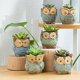 thumbnail image 5 of Paquete de 6 contenedores de plantas de maceta de cactus suculentos de Azul Zulema Contenedor de suculentas, 5 of 8