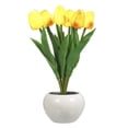 thumbnail image 1 of Tulip Lamp Indoor Decorative Table Lamp Flower Pot Lamp Ambient Night Light Gift Potted Plant, 1 of 8