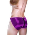 thumbnail image 3 of Mens Purple Satin Briefs with Zipper Fly - Silky Underwear for Men, Novelty Fashion Style, Free Size,Size Free Size, 3 of 4