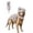 Gray, variant on Pet Dinosaur Costume, Soft Plush T-Rex Skeleton Halloween Costume for Dogs Glow-in-the-Dark