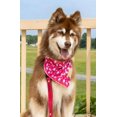 thumbnail image 2 of Aria the Fox Breathable Polyester Dog Bandana, Red, XL - 35in x 17in, 1 Piece Set, 2 of 3