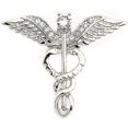 thumbnail image 3 of 26-27 Brooch Pins 2 Pieces Medical Jewelry Gift For Doctor/nurse/medical Student Rod Of Asclepius Emergency Crystal Brooch Silver Gold Color (wing Bro, 3 of 5
