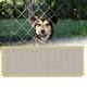 thumbnail image 5 of Puerta para Puerta para mascotas para perros, Puerta de protección de seguridad Puerta para perros de malla retráctil, Puertas de seguridad para Yinane Puertas de malla, 5 of 8