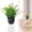 Green, variant on HmNPlay Artificial Potted Plants for Home Decor, Small Artificial Greenery Silk Plants in Pot for Indoor Tabletop Desk Office Decor, Fake Plants for Housewarming Gift House Decor