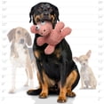 thumbnail image 5 of Mighty Microfiber Ball Pig Durable Plush Squeaky Dog Toy, 5 of 8