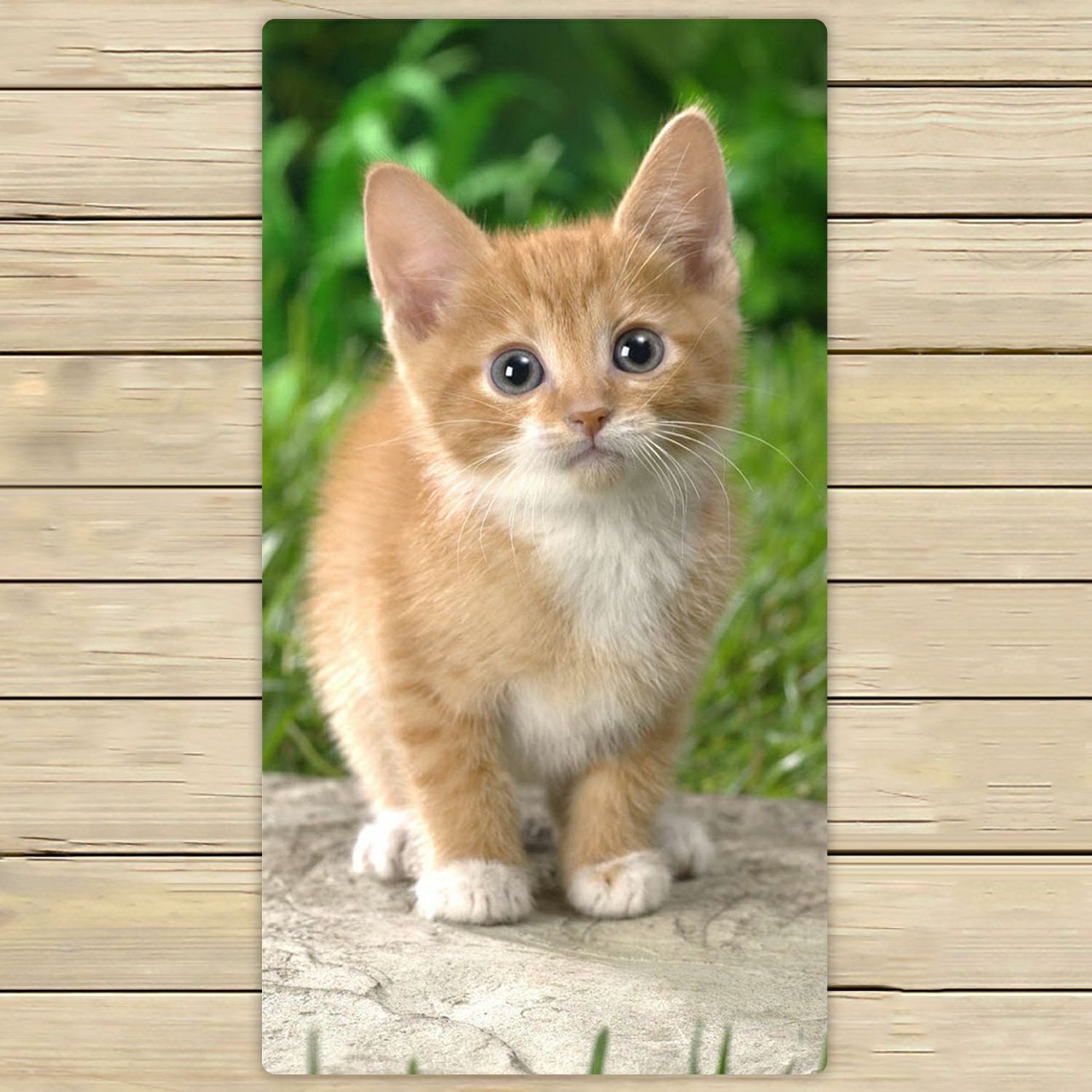 ZKGK Animals Kitten Cat Hand Towel Bath Towels Beach Towel For Home