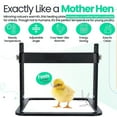 thumbnail image 5 of Chicken Brooder Heater 12 x 12 Inches Poultry Heating Plate for 15 Chicks Warmer with Constant Temperature Adjustable Height 145 Watts Chicken Coop Heater, 5 of 5