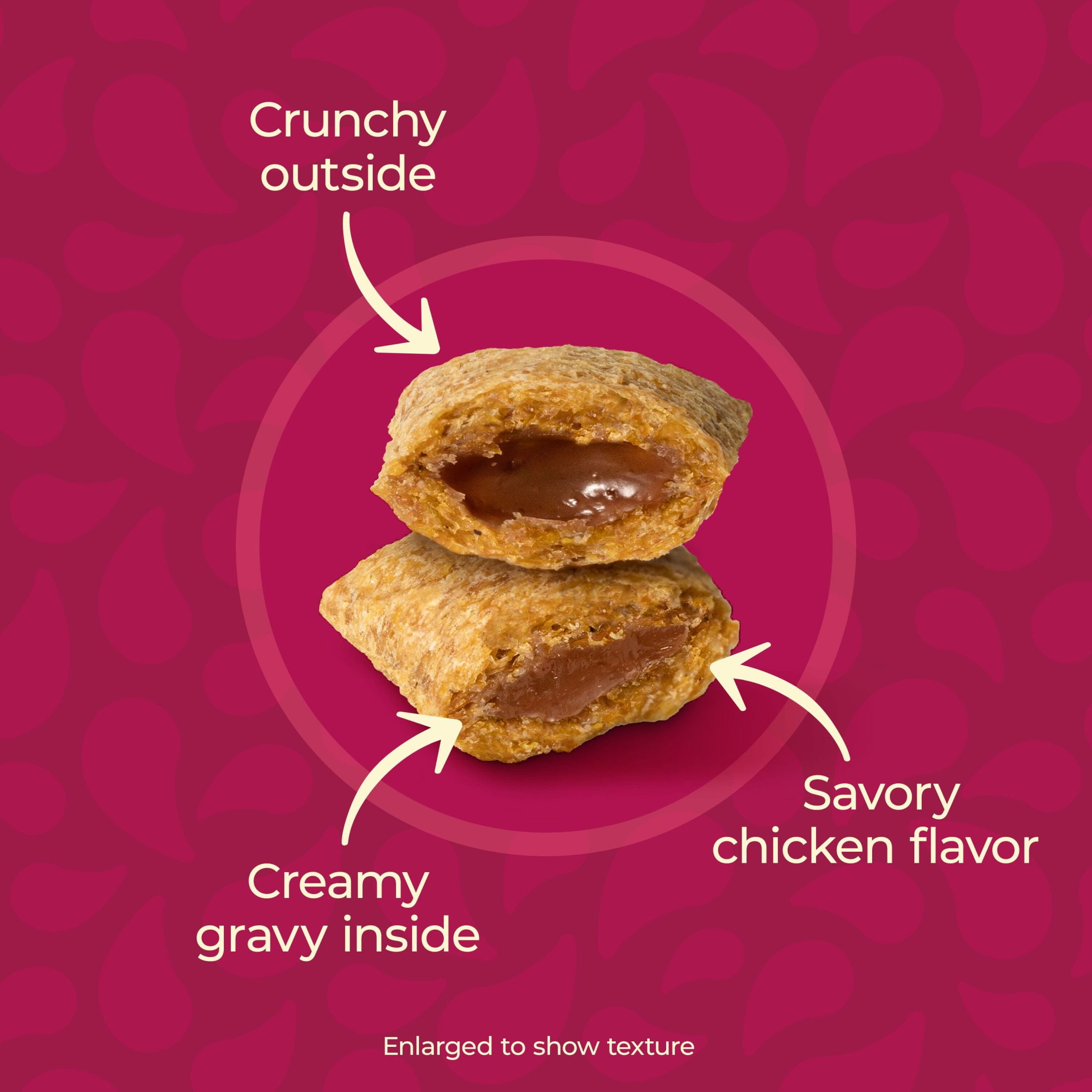 Meow Mix 6.3 Ounce Gravy Burst Chicken Cat Treat