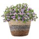 thumbnail image 1 of Maceta de paja tejida a mano con forma de cesta de algas, maceta decorativa multiusos para balcón y jardín., 1 of 13