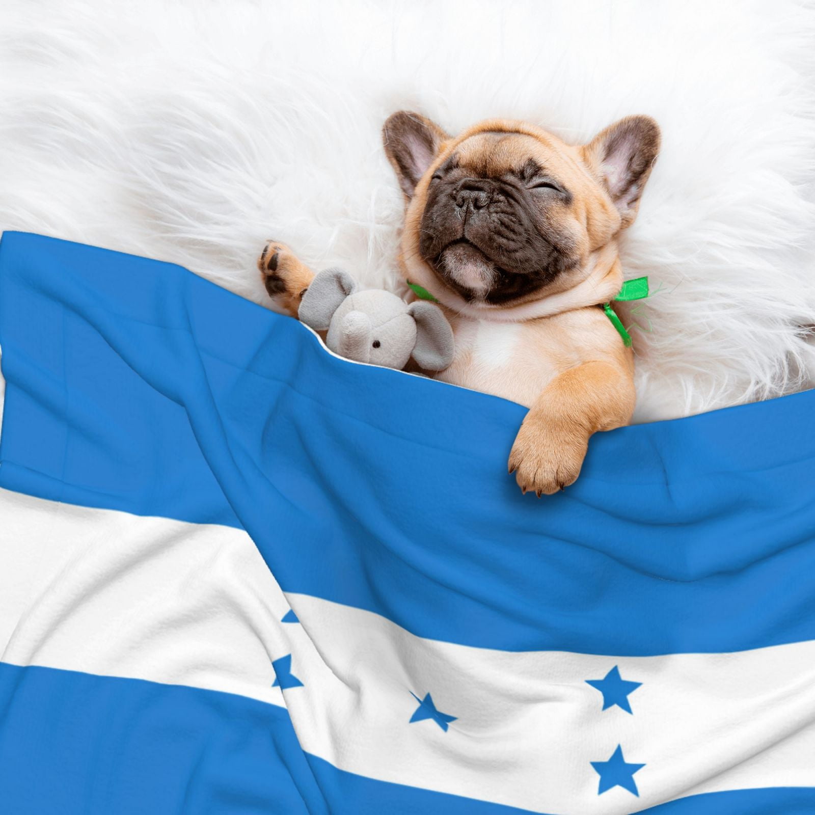 Flannel Throw Dog Blanket Honduran Flag Soft Warm Print Pet Blankets for Small Dog Cat Puppy