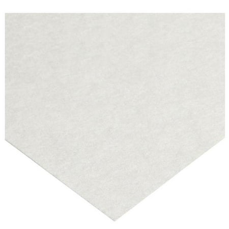 GE Healthcare 10311387 580 x 580 mm Cellulose Filter Circle Papers, Grade 591 - 250 per Pack