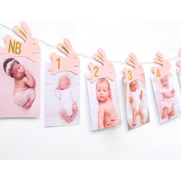 Bunny First Birthday Monthly Milestone Photo Banner, Newborn To 12 Months Picture Display, Rabbit Theme Party Decoration For Girls, Some Bunny Is One