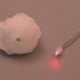 thumbnail image 3 of Xihbxyly Guirnalda de Faroles de Calavera para Halloween, 10 Luces Led con Gasa, Impermeable y Duradera, Decoración Espeluznante para El Hogar y El Jardín, Perfecta para El Día de Todos Los Santos, 2, 3 of 7