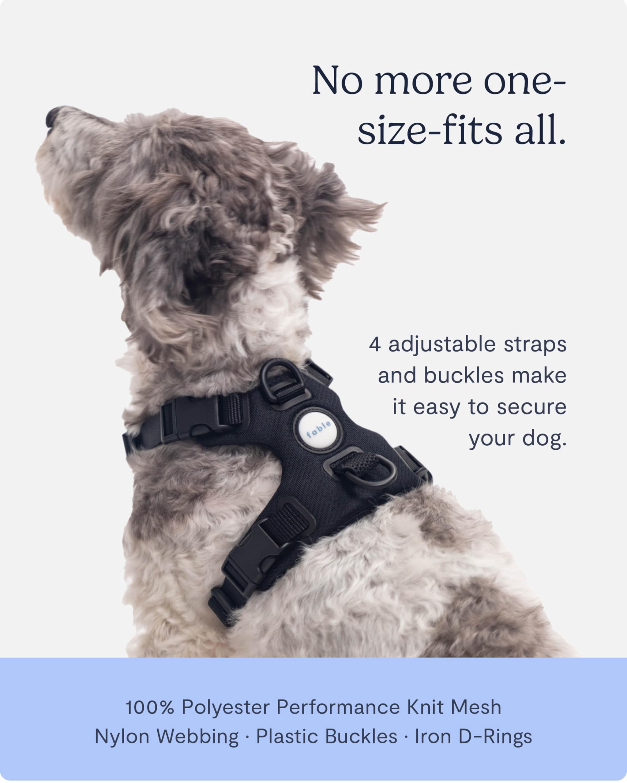 Fable Signature Harness for Dogs - Minimalist Extra Small Black Dog Harness with