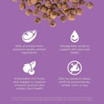 thumbnail image 5 of GO! SOLUTIONS CARNIVORE Grain Free Chicken, Turkey + Duck Recipe for cats, 5 of 5