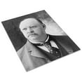 thumbnail image 3 of Print: Thomas Brackett Reed, Head-And-Shoulders Portrait, Facing Slightly, 3 of 4