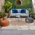 thumbnail image 2 of Brown Coastal Outdoor Rug for Patio/Deck/Porch, Non-Slip Large Area Rug 5 x 8 Ft, Summer Ocean Sea Ombre Starfish Corals Indoor Outdoor Rugs Washable Area Rugs, Reversible Camping Rug Carpet Runner, 2 of 8