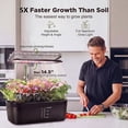 thumbnail image 5 of Hydroponics Growing System, 6 Pods LED Grow Light Adjustable & Auto Timer for Indoor Hydroponic Planter Grower Harvest Lettuce, 5 of 10