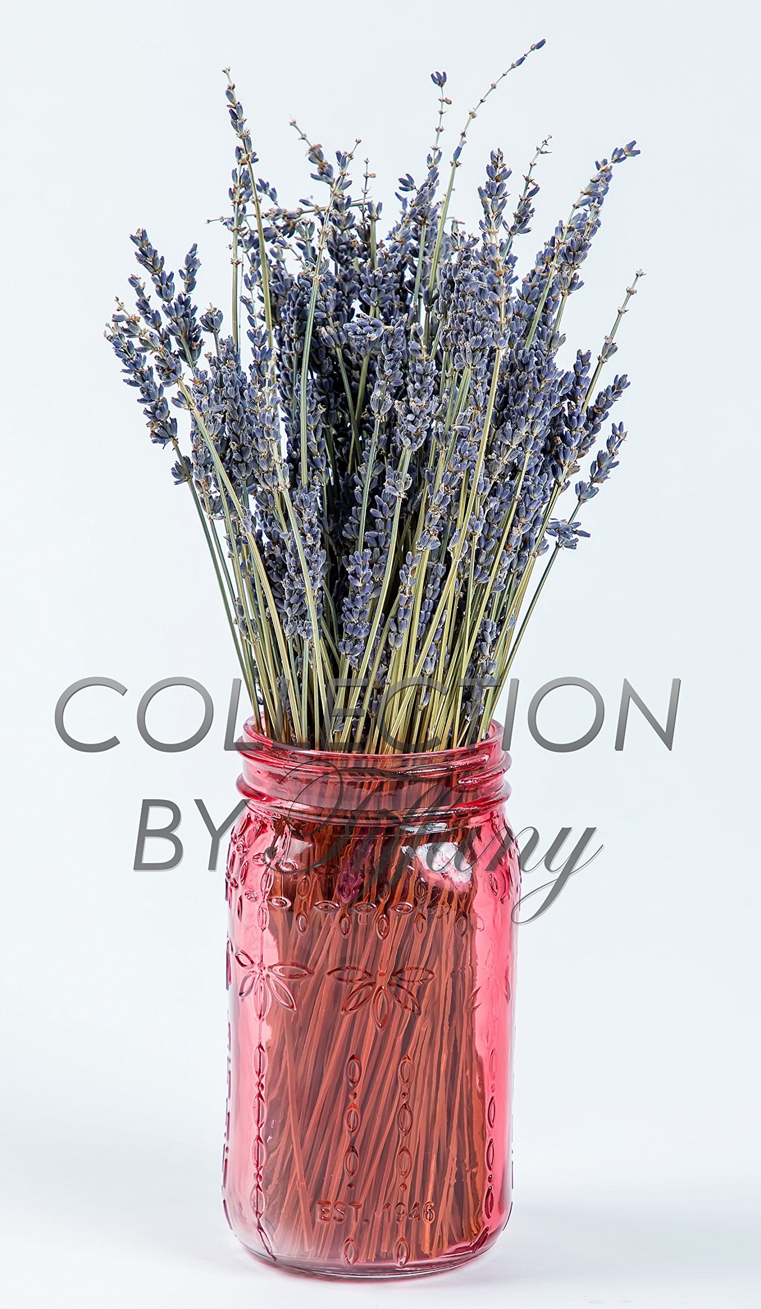 1 Bunch Natural Dried Flowers Lavender Bouquet Flower For Home Party Decor Craft 