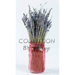 Dried Flowers For Candle Making Natural Pressed Flowers Multiple