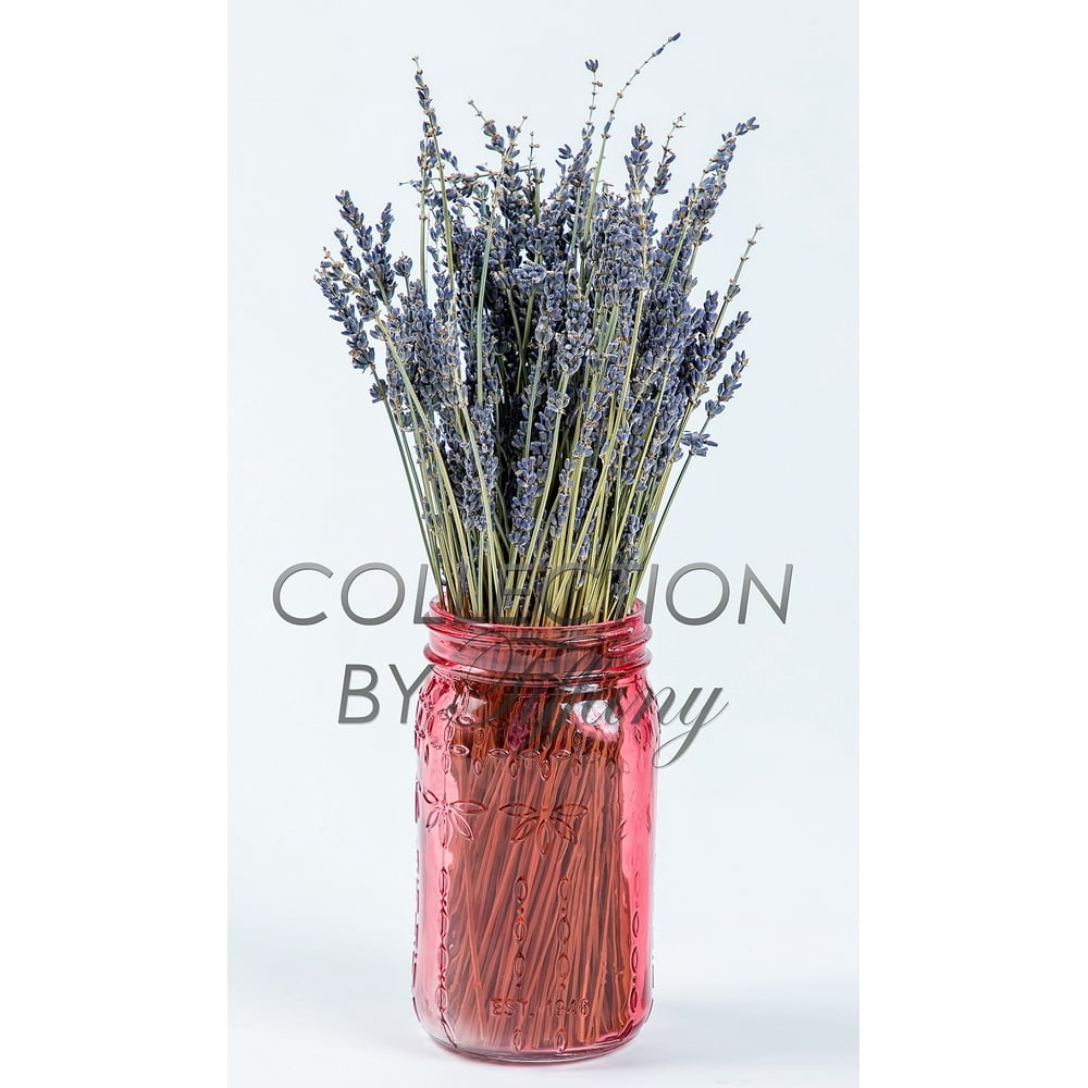 Real Natural Lavender Bunch Dried Flower (1bunch) with Trendy Mason Jar