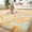 Orange, variant on MeyJey 4'x 6' Shag Area Rug, Soft Fluffy Area Rugs for Kids Room Living Room Bedroom Decor Carpet, Green