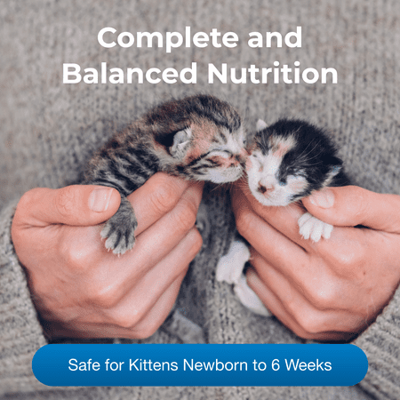 KMR Natural Milk Kitten Formula Replacer Powder Cat Supplement 6 or 12oz PetAg