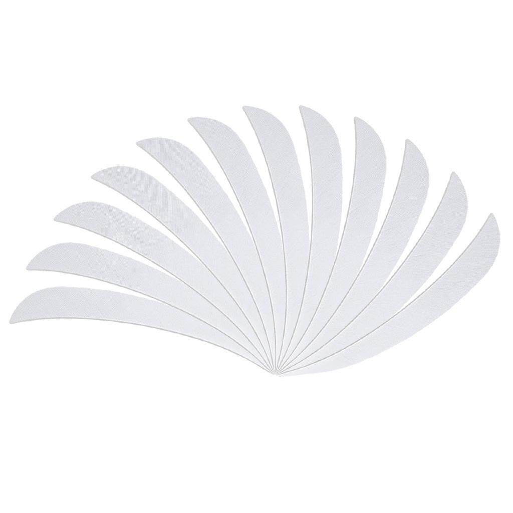 30 Plumes Flèches 4 Pouces - Aile Gauche Blanche - Pour Encoches Et Fabrication De Flèches
